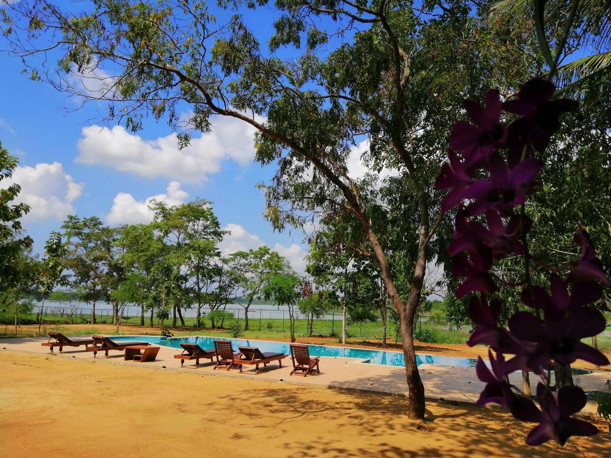 Breezy Lake Tissamaharama Exterior foto