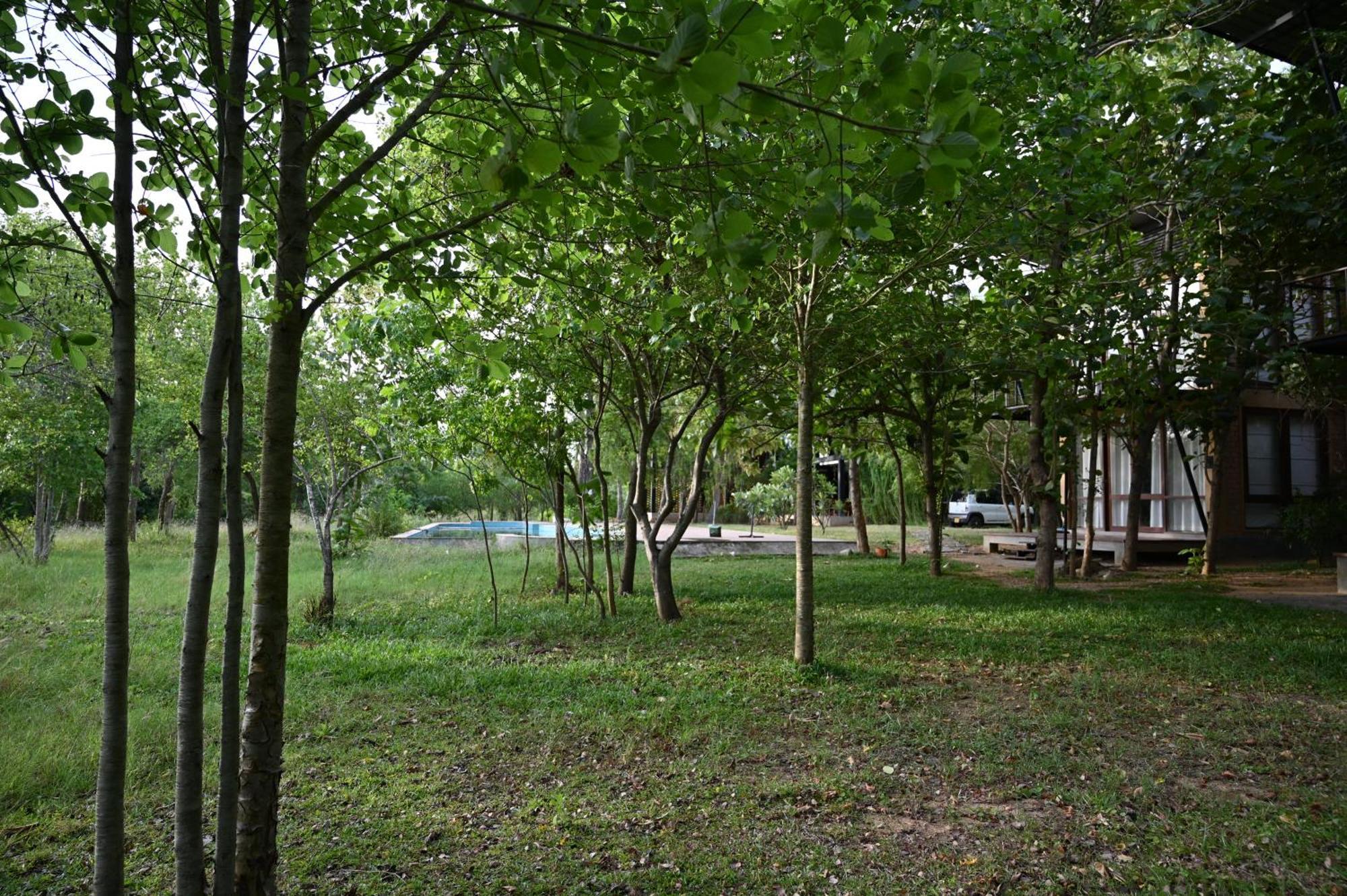 Breezy Lake Tissamaharama Exterior foto