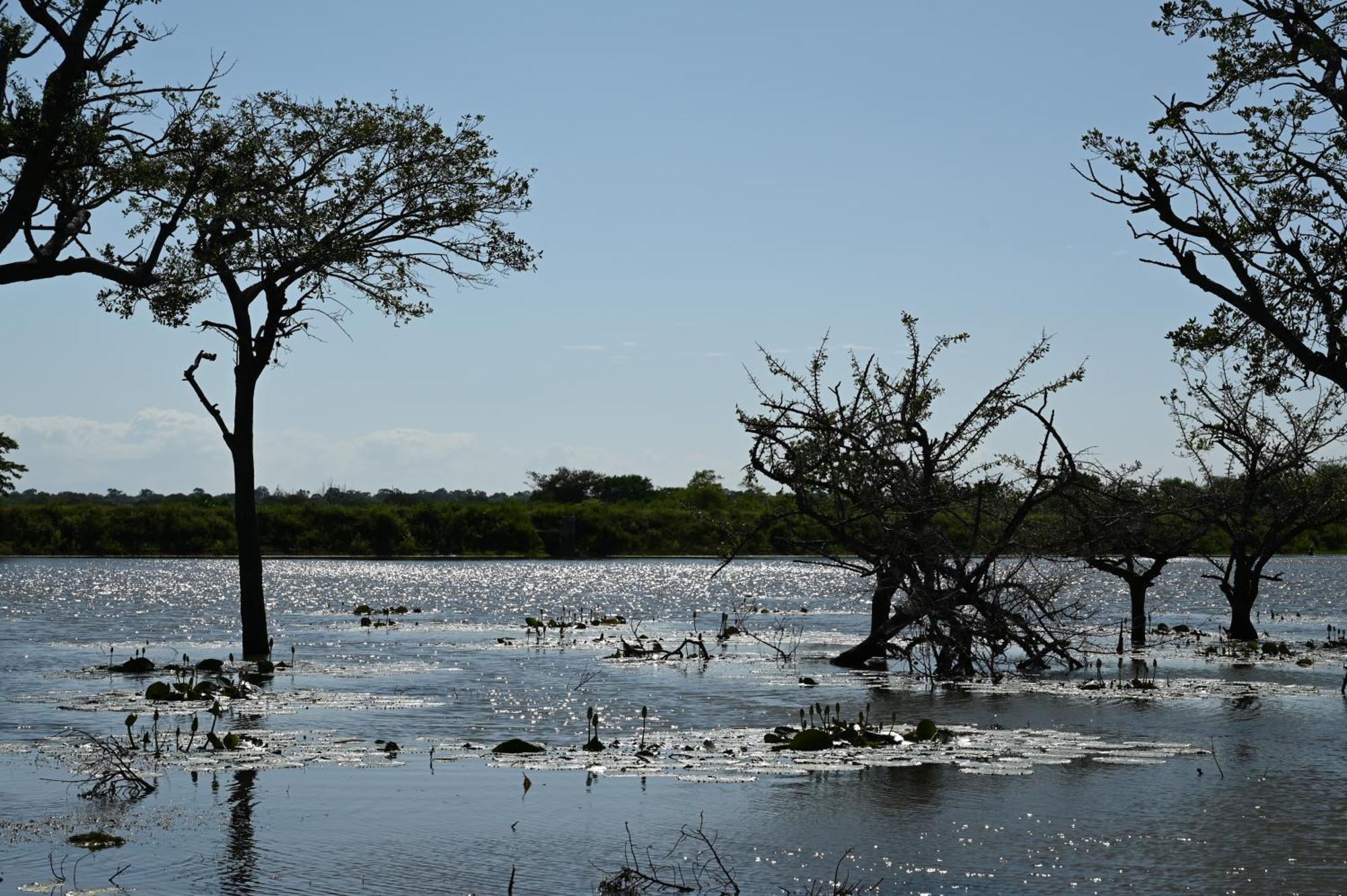 Breezy Lake Tissamaharama Exterior foto