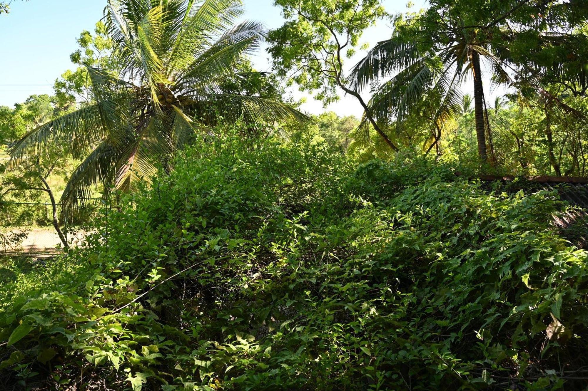 Breezy Lake Tissamaharama Exterior foto
