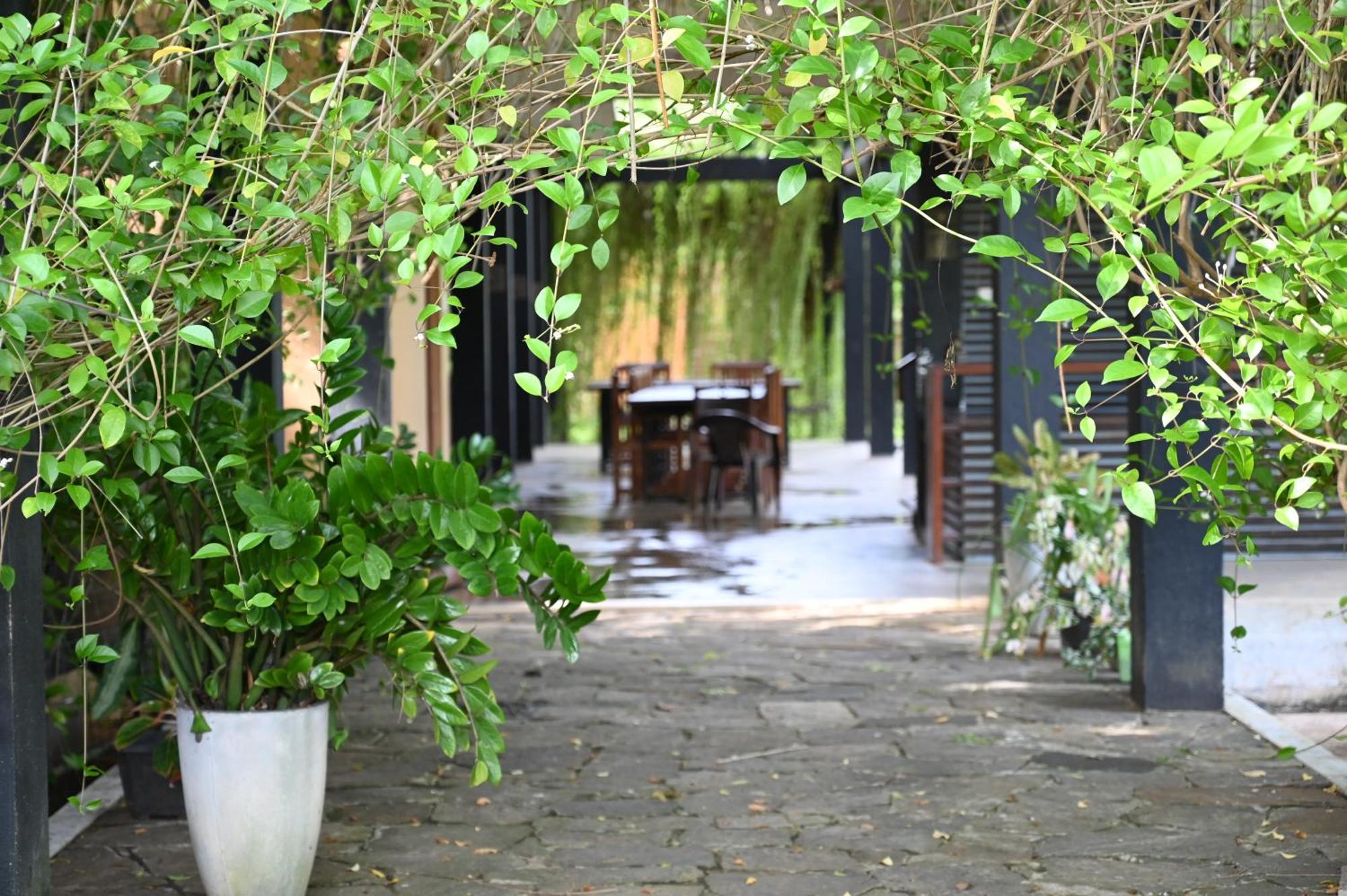 Breezy Lake Tissamaharama Exterior foto