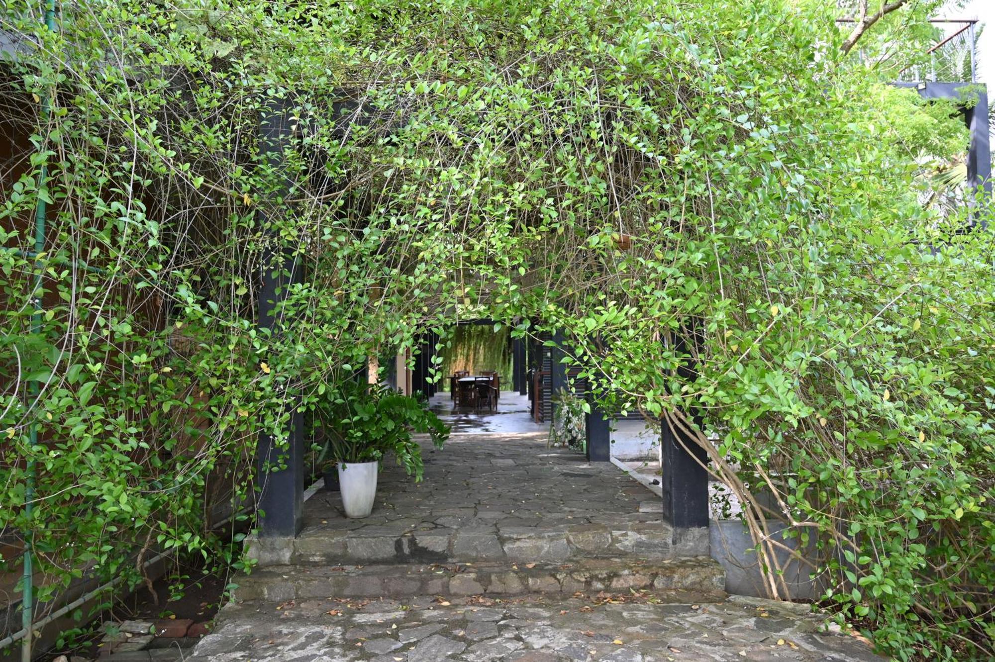 Breezy Lake Tissamaharama Exterior foto